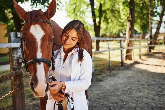 Missouri Equine Health and Care articles