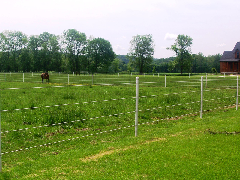 Outdoor grass paddocks for patient housing